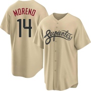 Gold Replica Gabriel Moreno Youth Arizona Diamondbacks 2021 City Connect Cool Base Jersey